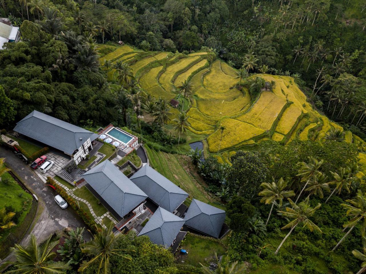 Suarapura Resort & Spa Tegallalang  Eksteriør billede