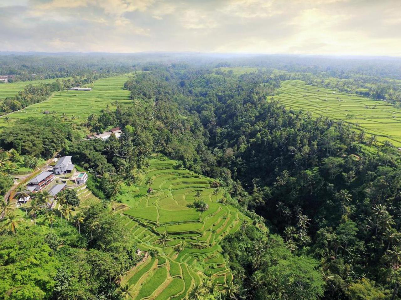 Suarapura Resort & Spa Tegallalang  Eksteriør billede
