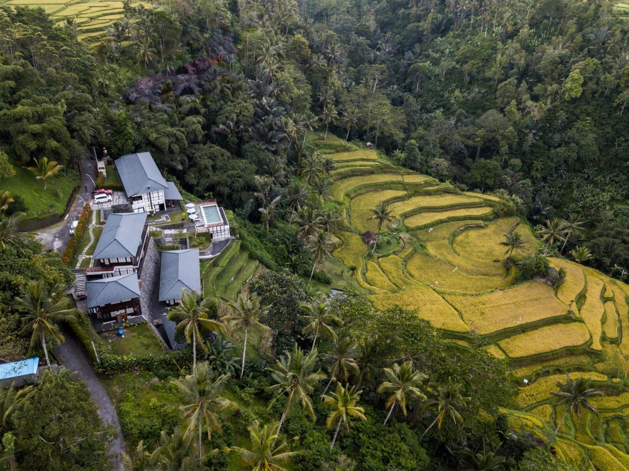 Suarapura Resort & Spa Tegallalang  Eksteriør billede